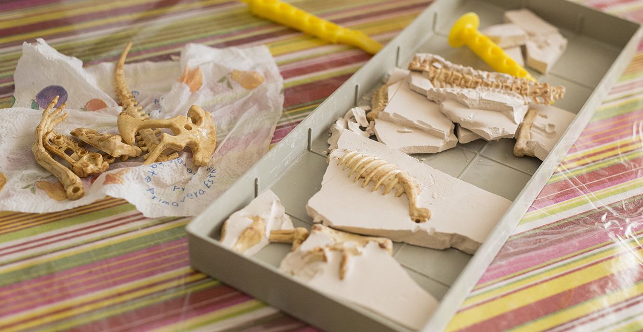 Educational game to find fossils for a small archaeologist, with children's hands digging