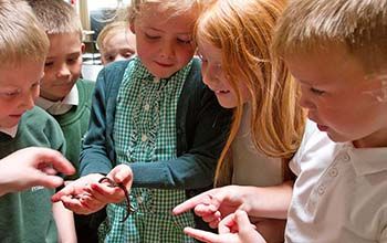 Kids in a circle looking at a girl holding worms in her hand